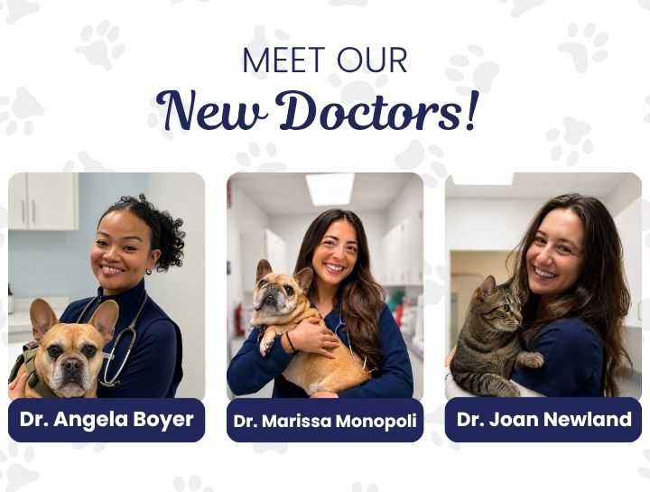 Welcome Our New Veterinarians!